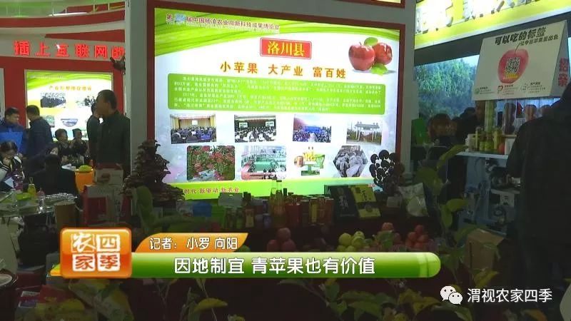 小罗带你逛超市,小罗带你走进水果基地