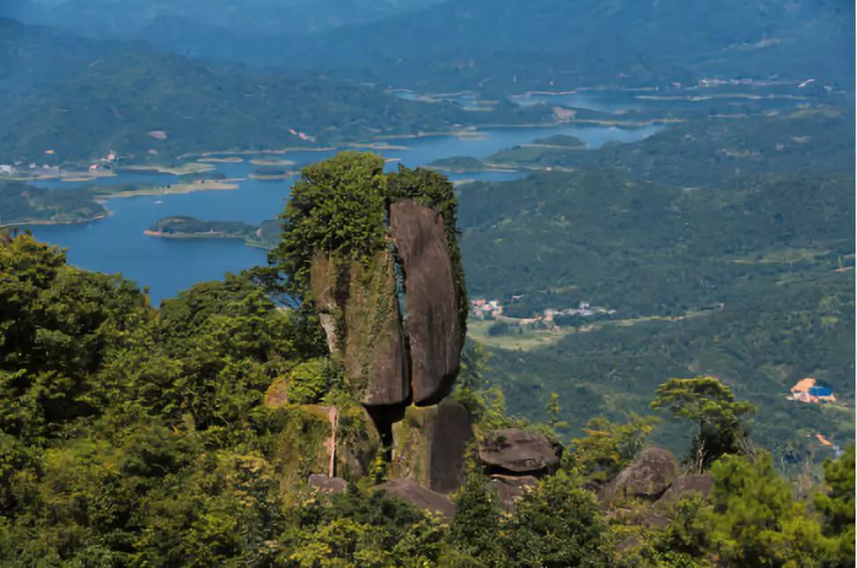 防城港酒店宾馆推荐,防城港酒店推荐亲子