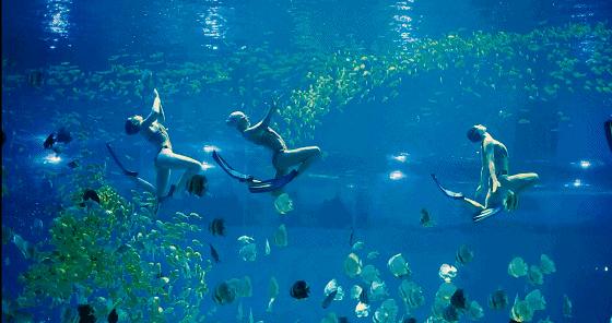 南昌地铁4号线南昌大桥东站站,南昌地铁2号线福州路到南昌西站