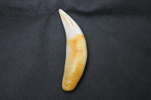 古代历史上辟邪饰品有哪些?