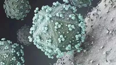 男子梅毒的10个征兆,患了梅毒是不是一定要彻底治愈