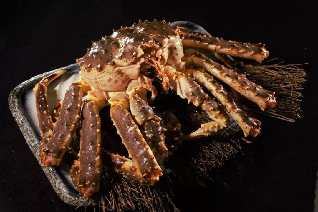 探秘金虹桥JTown日本街,在长宁也能逛东京的店!