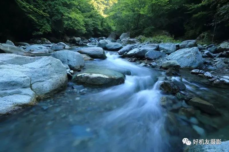 新手入门三脚架如何选择,记住这四个搭配技巧
