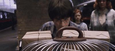 哈利波特麻瓜魔法咒语,哈利波特麻瓜做法