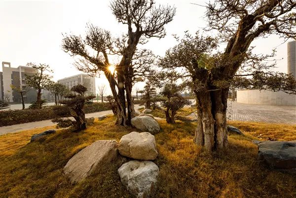 「荆日头条」荆州这所学校115岁了！竟有这么多大咖都出自这里……