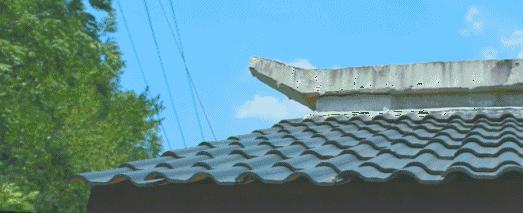 自称“射鸡师”！这个“不太正经”的设计师把酒店开了半个中国，今年终于到杭州了！