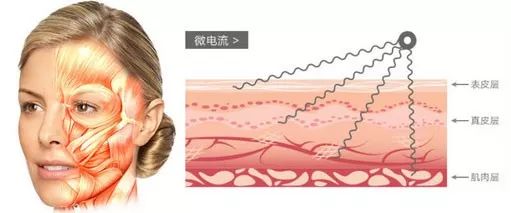 科普今年最火的美容仪真的有用吗,最近很火的美容仪有什么区别
