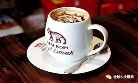 养这种猫偷偷发大财，猫便便卖到高档咖啡馆，居然有人喜欢！