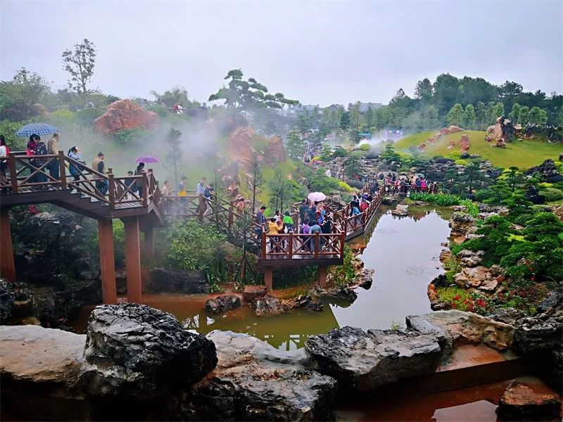 做妇科手术可以修复腹直肌吗,没有疤痕的妇科手术是啥