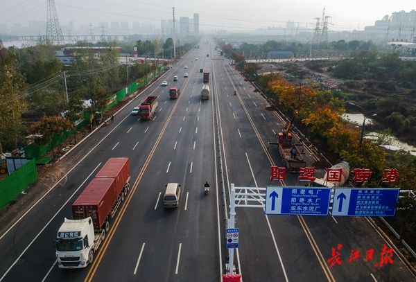 东湖水杉林武汉最美的秋色,航拍武汉风景
