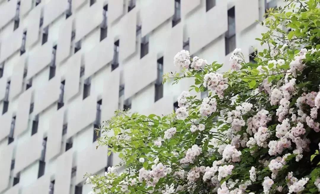 南京鼓楼医院中山路321号,南京市中山路321号