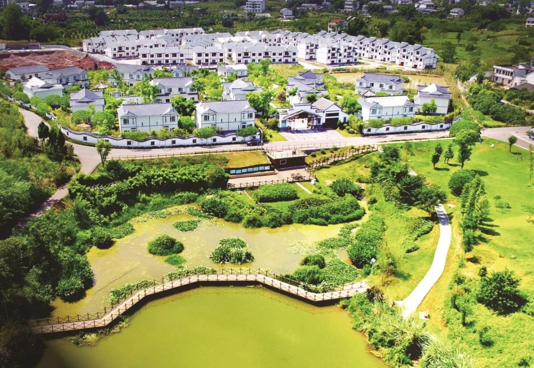 广安乡村振兴示范村有哪些,广安示范村名单