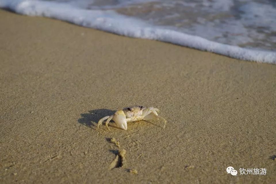 慢时光驿站银滩店,慢时光轻奢民宿