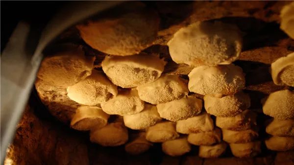 陈晓卿陈导：人间风味没我不爱吃的双手曾沾满天津皮皮虾的鲜血