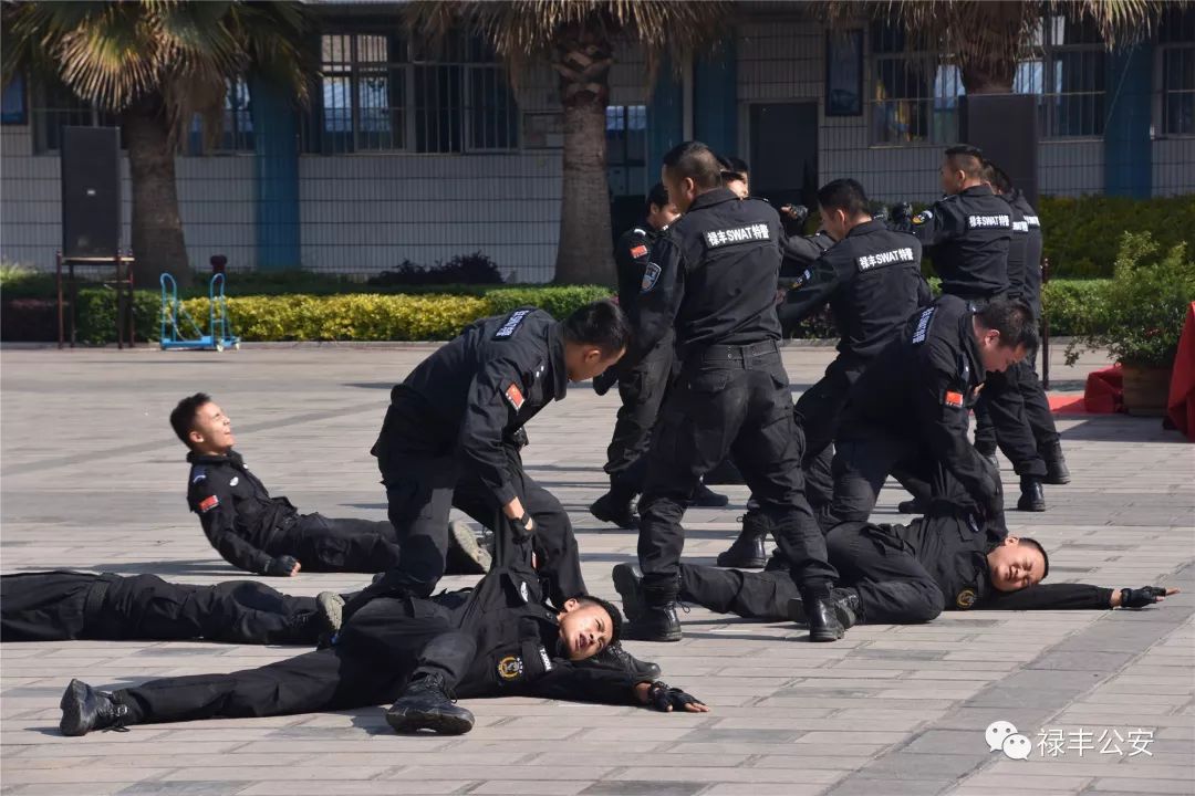 练为战砺尖兵现场直击,练为战原唱