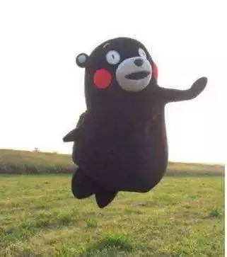 成都锦江边最漂亮的银杏,成都银杏美图