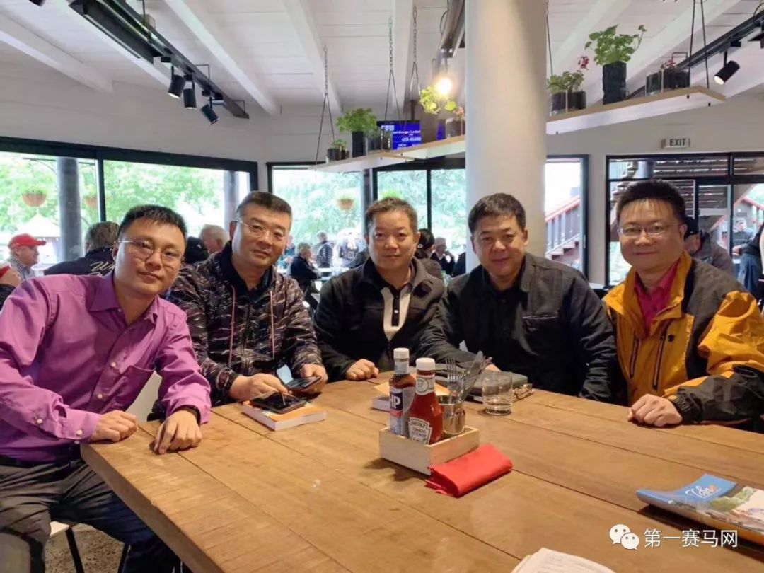 「买马」莱德旗下赛驹拍出高价，中国马主团豪砸重金购入佳驷，新西兰卡拉卡两岁受训马拍卖会隆重开槌