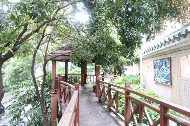 越秀华侨新村二期,广州越秀区生活的真实感受