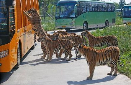 惠州一日游必去的10个免费景点,惠州游玩小众景点攻略大全