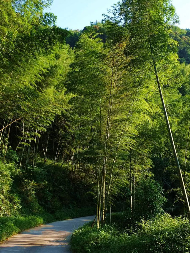 深圳旅游五日游景点推荐,深圳五一游玩线路汇总