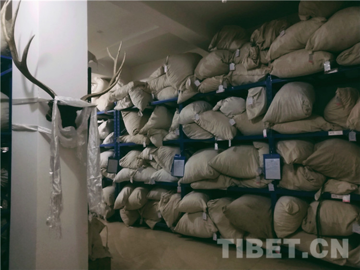 妙手仁心医德高尚,妙手仁心求真至善