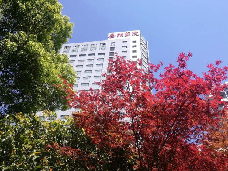 岳阳医院乐瓅琳丨宝宝高烧反复不退！家长就要警惕了！