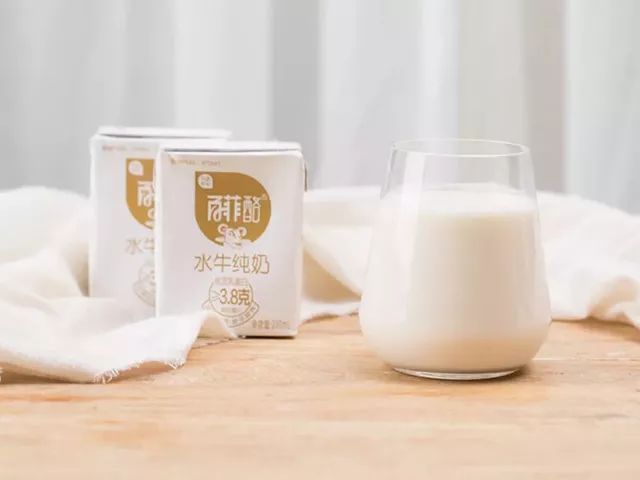 一条拼团|“百菲酪”水牛奶,日东红茶经典奶茶