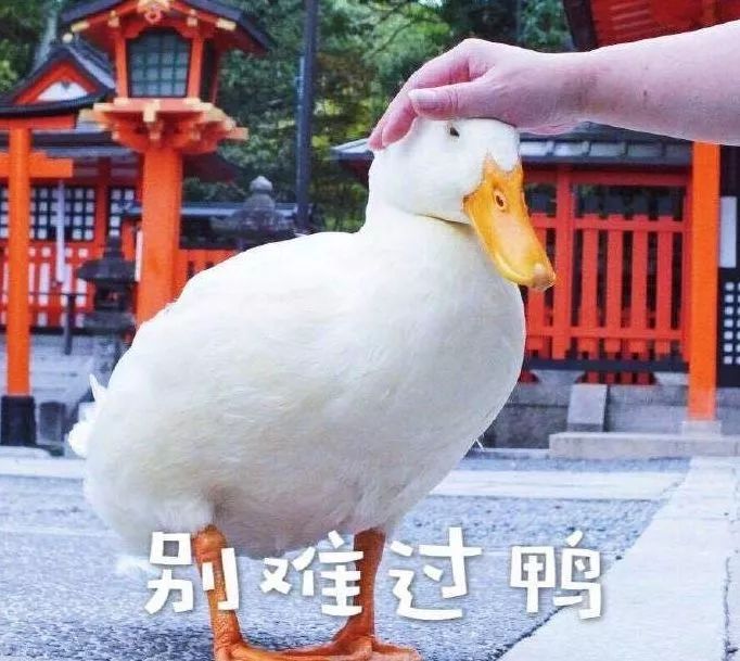 换季买衣服冷知识,买衣服都要知道的冷知识