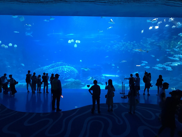 长隆珠海海洋王国网红打卡,珠海长隆海洋王国哪里买门票便宜