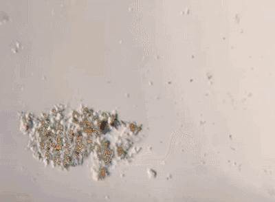 比杜蕾斯还薄的*裤内**,竟能抑制99%的细菌,穿上就像裸着一样