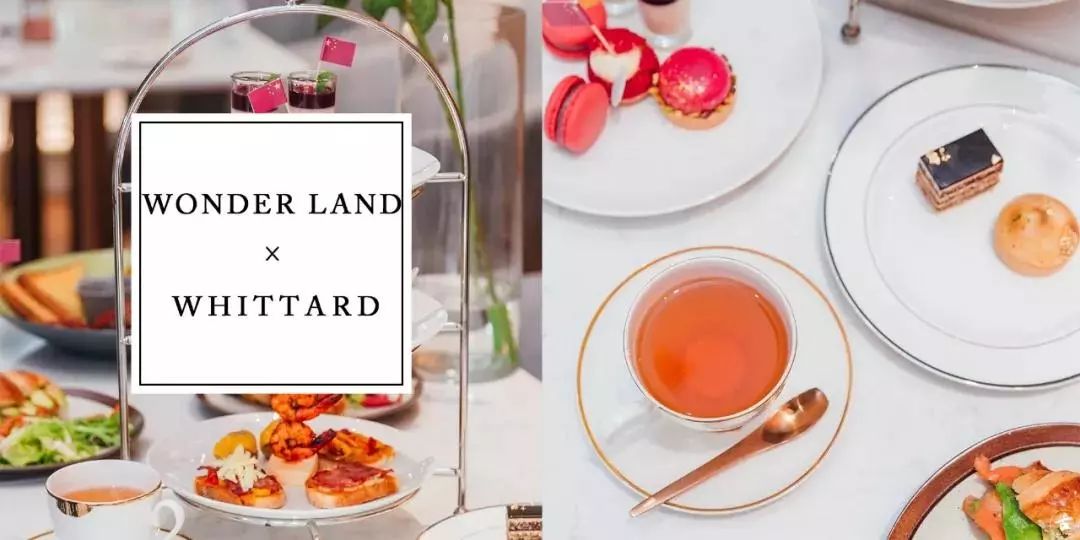 伽蓝廊走后，其他的一切都是将就……