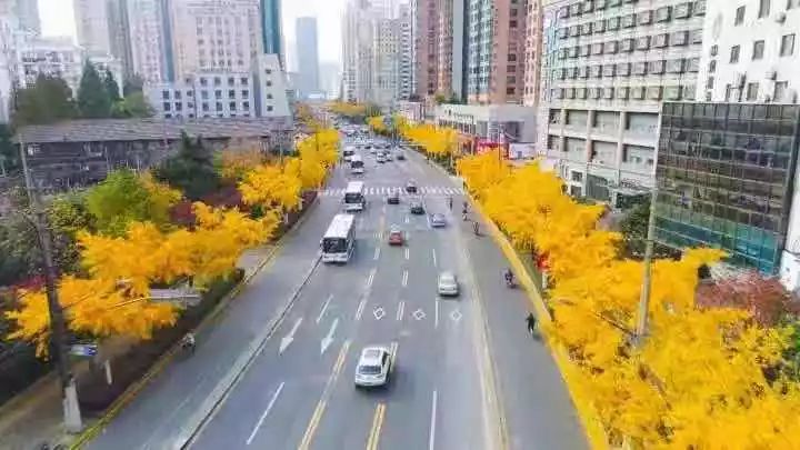 满城尽带黄金甲最美画面,满城尽带黄金甲拍摄地风景