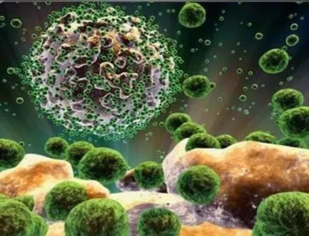 艾滋病没想象的那么可怕,艾滋病是不是最吓人