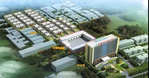 从改革源头到开放高地,临沂革命老区发展