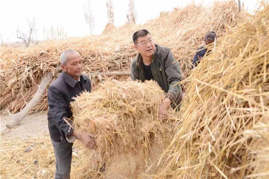 访惠聚工作队第一书记精神状态,访惠聚第一书记纪实