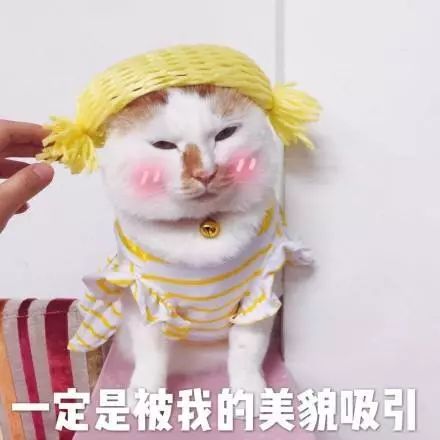 不用买化妆品也能美,essence彩妆测评