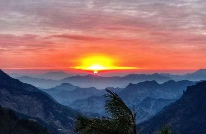 西溪湿地免费区域从哪儿进,西溪湿地免费区域地图