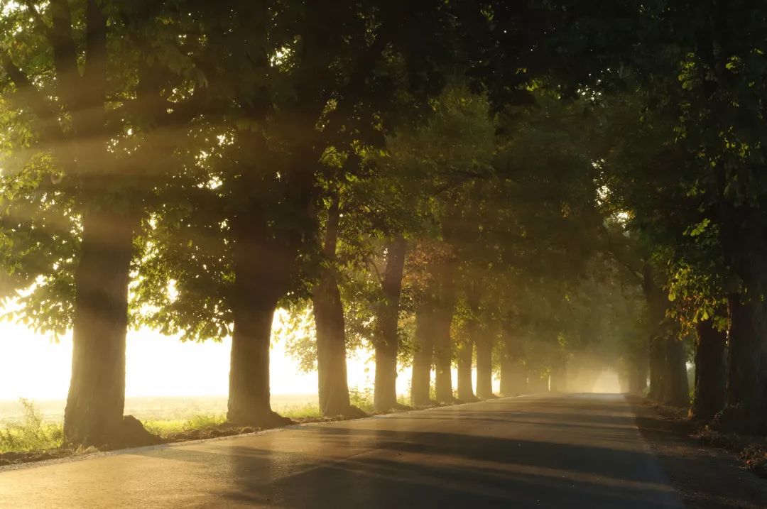 世界诱惑太多谁能坚持初心,晨读是最有价值的自律
