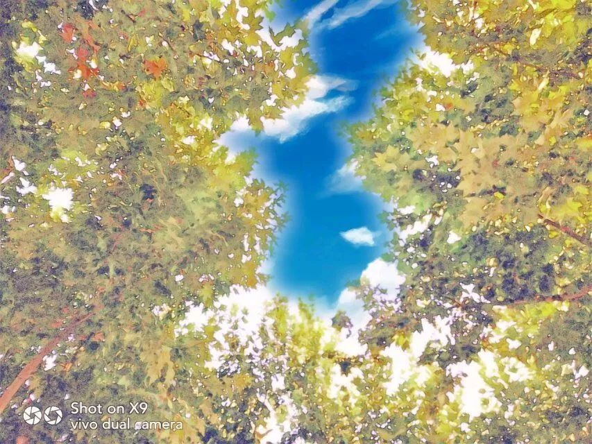 陕国防,陕国防全称是什么