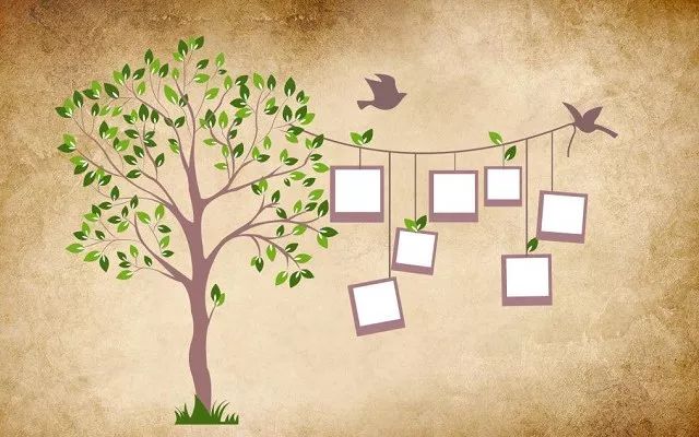 苹果调整图片大小快捷指令,苹果ios15怎么设置桌面照片小插件