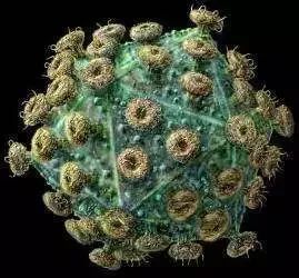 「青春护航」“红丝带”的提醒：防艾在路上，青春要设防