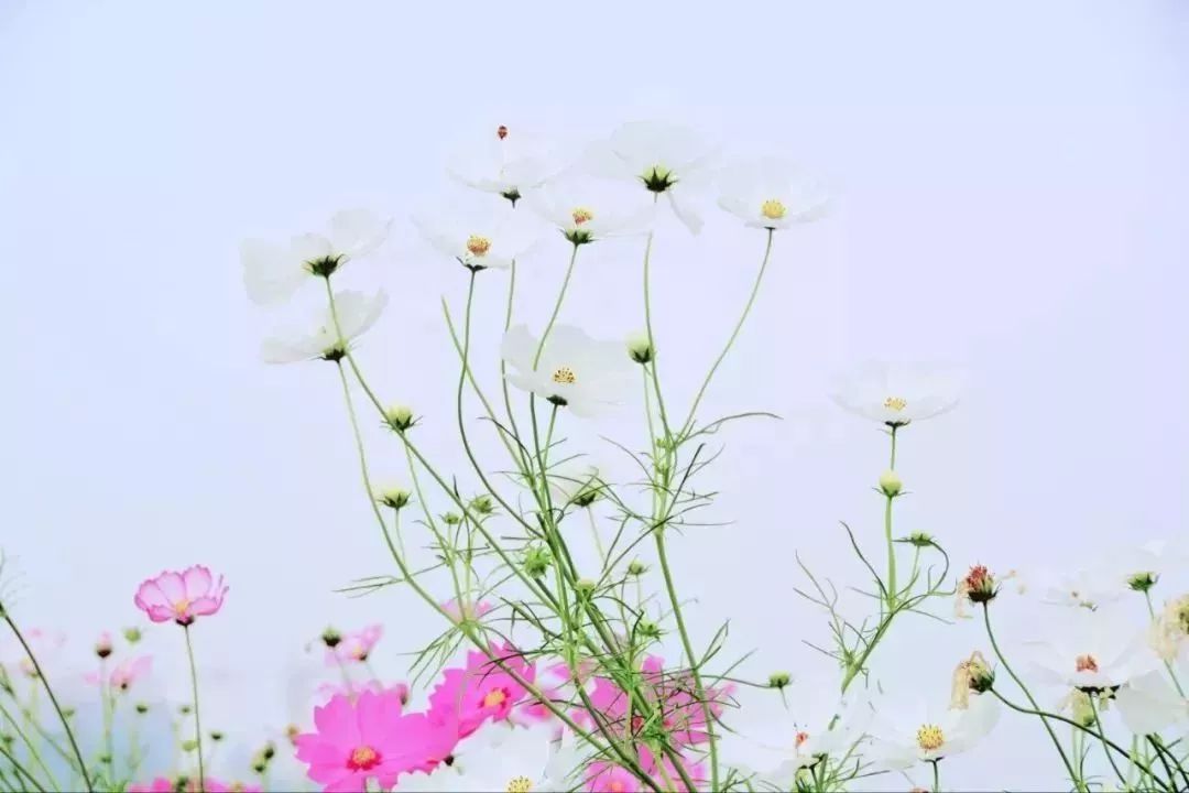 佛山出片拍照圣地,广东佛山周末可去的地方