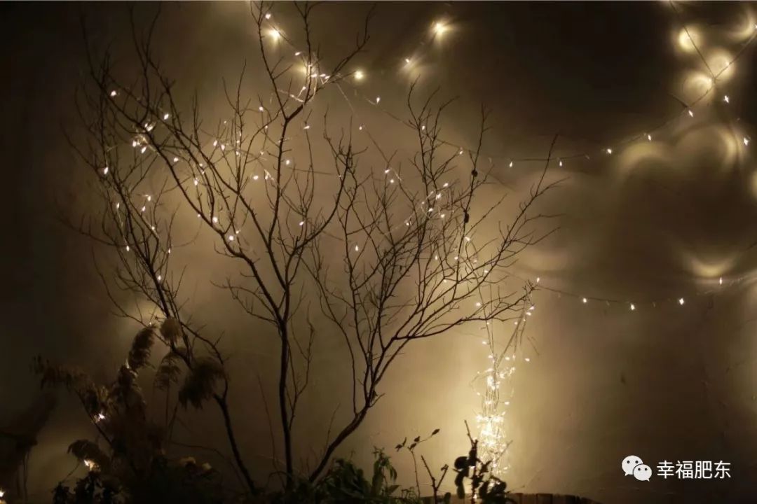 美哭！咱肥东这里竟藏着一处“秘境”，很多人都不知道……