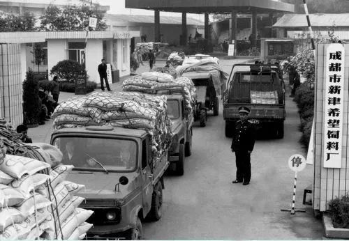 西南房企最新消息,西南地区上市房企