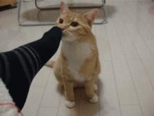 每日一笑你觉得哪个更好笑,每日一笑差距