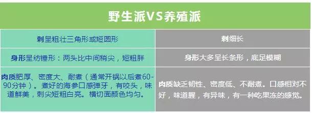青岛的海参好还是大连的海参好,大连海参怎么买才正确