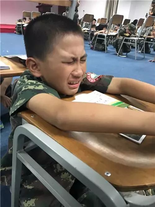 东莞报业夏令营,东莞雏鹰少年夏令营多少钱