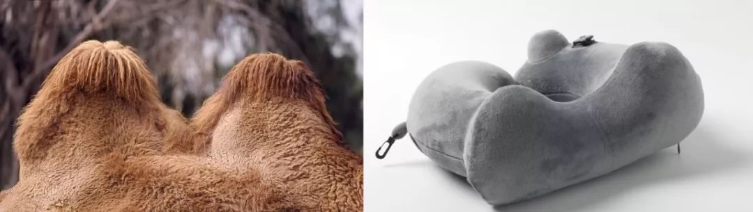 拯救你的颈椎！这款德国变态”护颈”神器，让你坐着比躺着还舒服，连失眠也能救一下