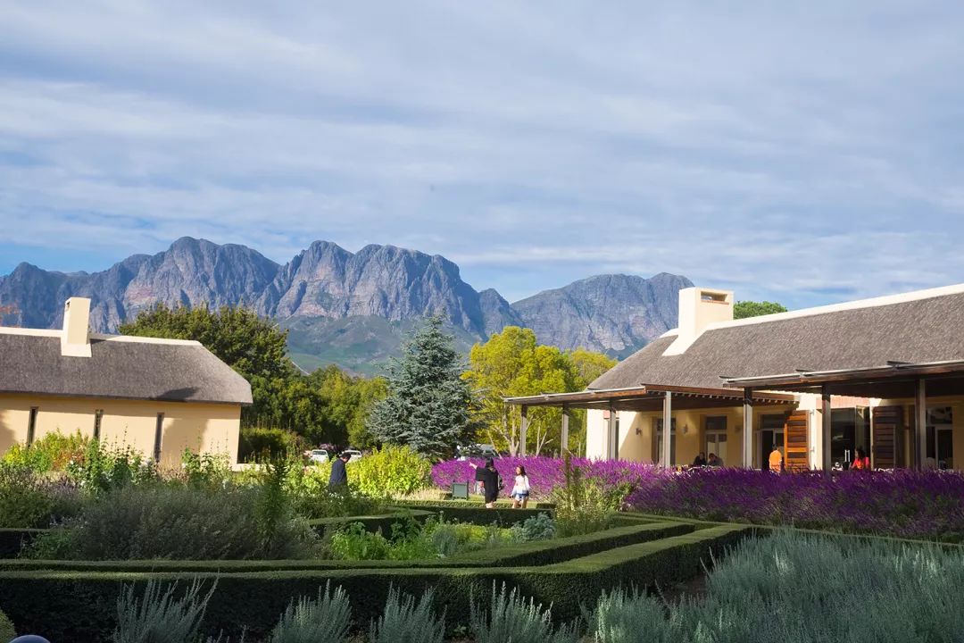 开普敦第七大奇迹,开普敦真实的样子