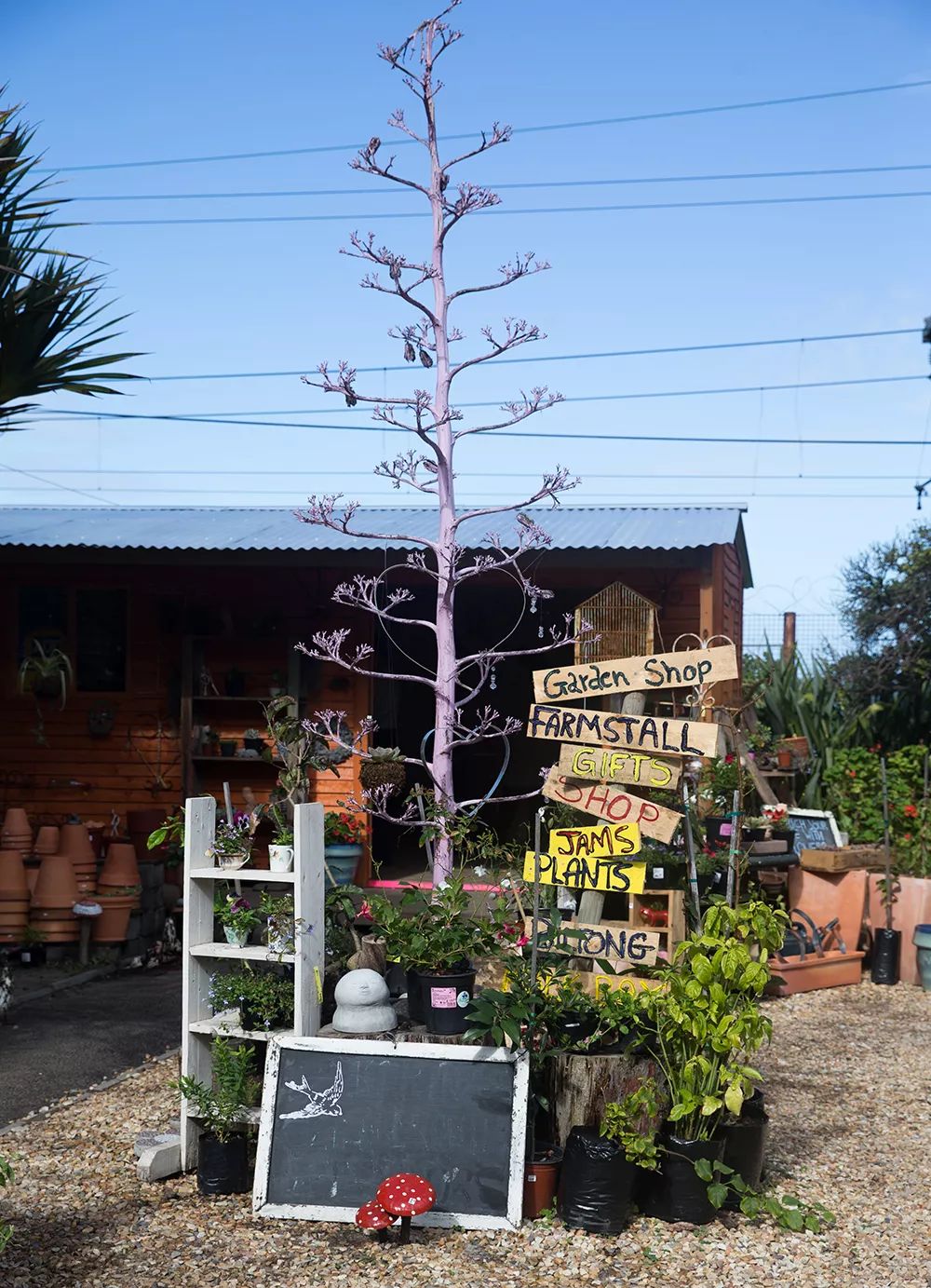 开普敦第七大奇迹,开普敦真实的样子